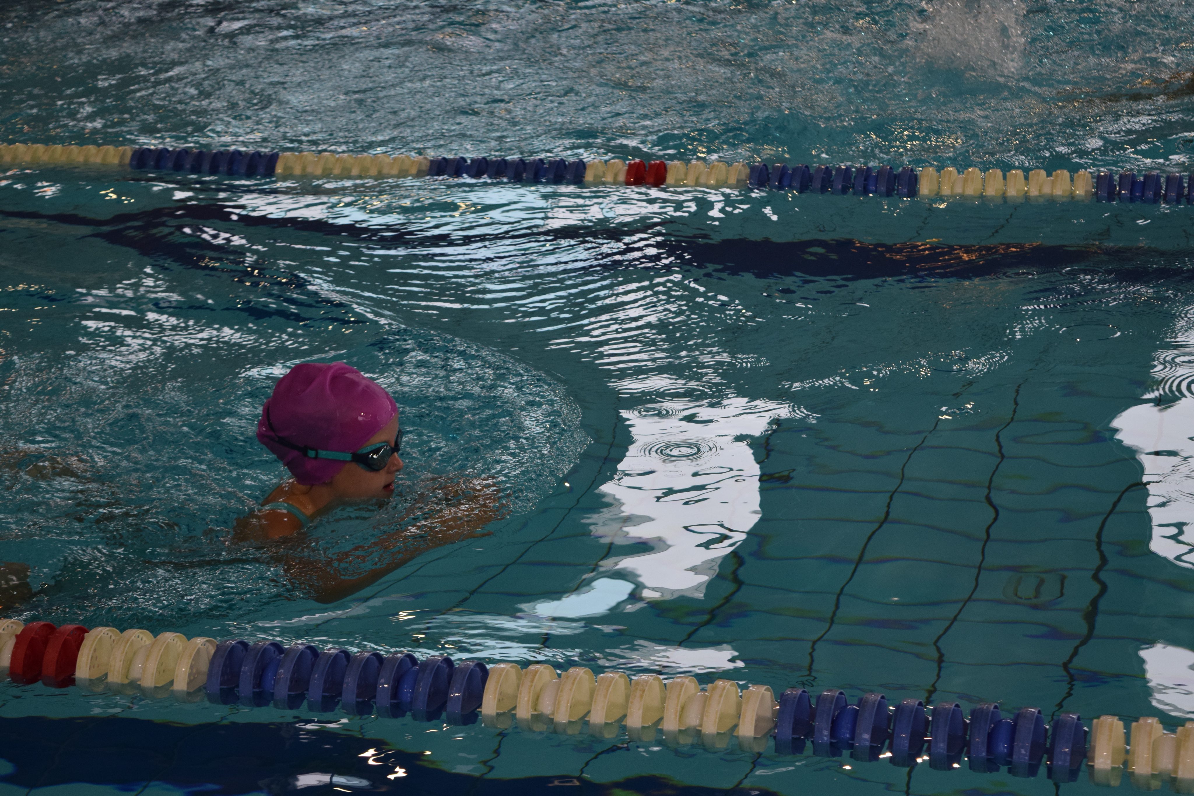 VfL Wilhelmshaven brilliert beim 3. Inklusionsschwimmfest